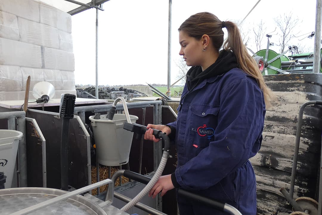 Sofie geeft de kalfjes met hun nieuwe melktaxi te drinken.