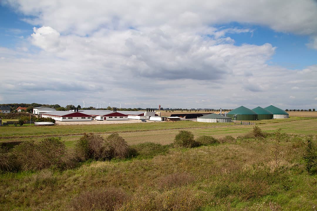 Een varkenshouderij in Saksen Anhalt in Duitsland. - Foto: Jan Willem Schouten