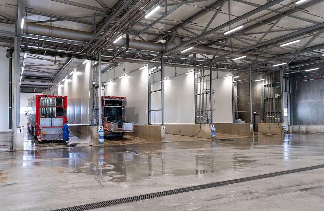 Sinds de verbouwing beschikt de slachterij over zes inpandige reinigings- en ontsmettingsplaatsen voor trucks.