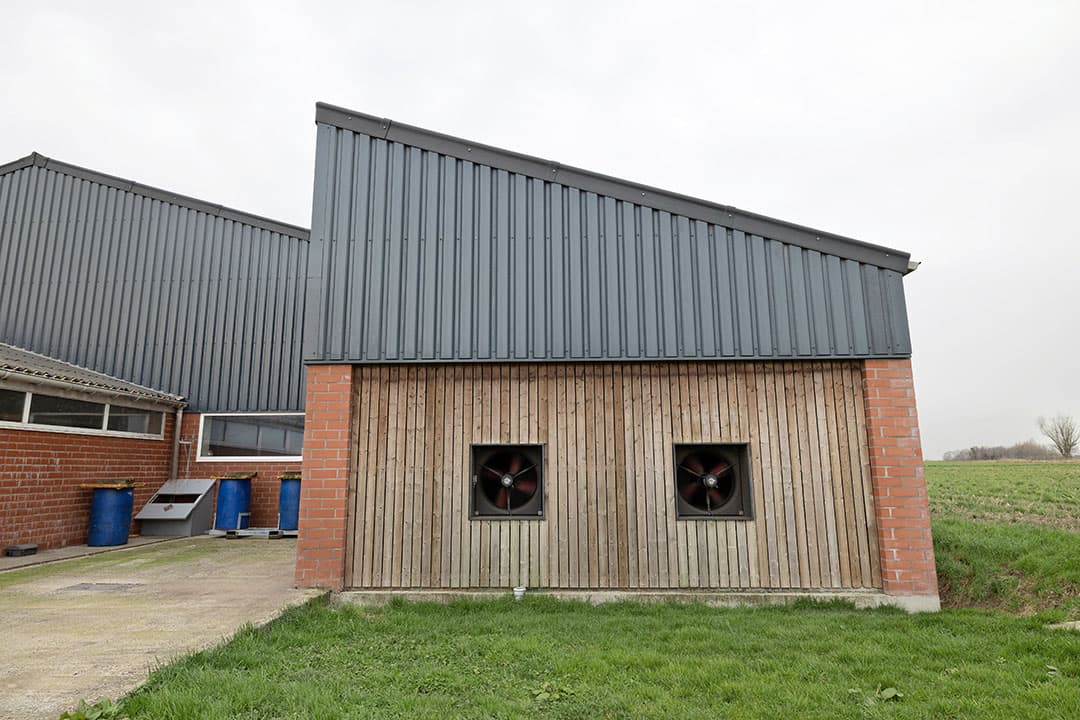 De nieuwe stal is voorzien van een overdruksysteem en een installatie voor conditioneren van de lucht.