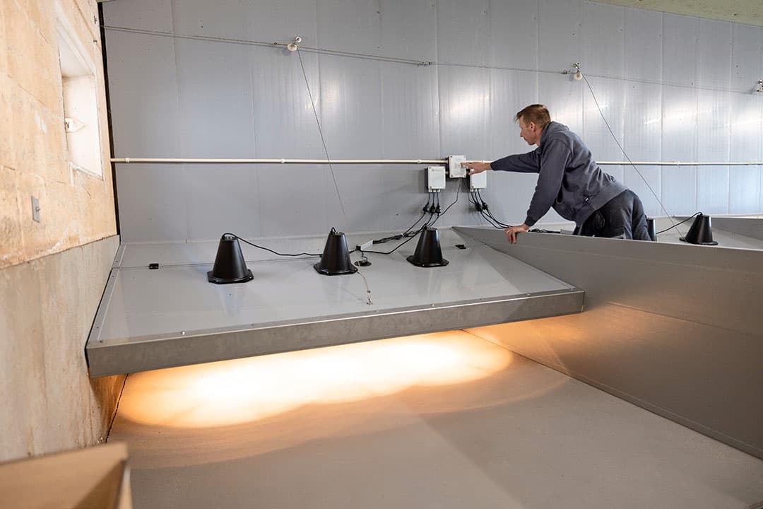 Elk hok heeft een overkapping met drie lampen. Beide worden automatisch aangestuurd navenant het binnenklimaat en leeftijd van de biggen.