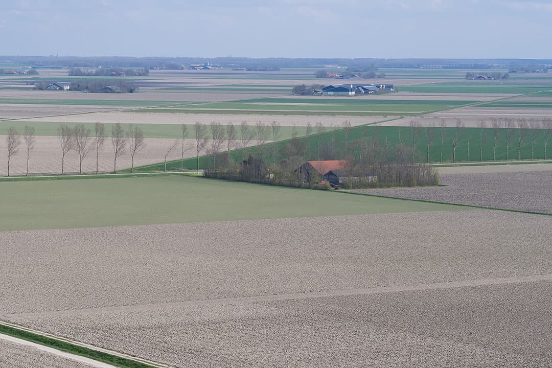 Voor de opkoop van stikstof sprak provincie Flevoland met 27 boeren, zowel veehouders als akkerbouwers. - Foto: Michel Velderman