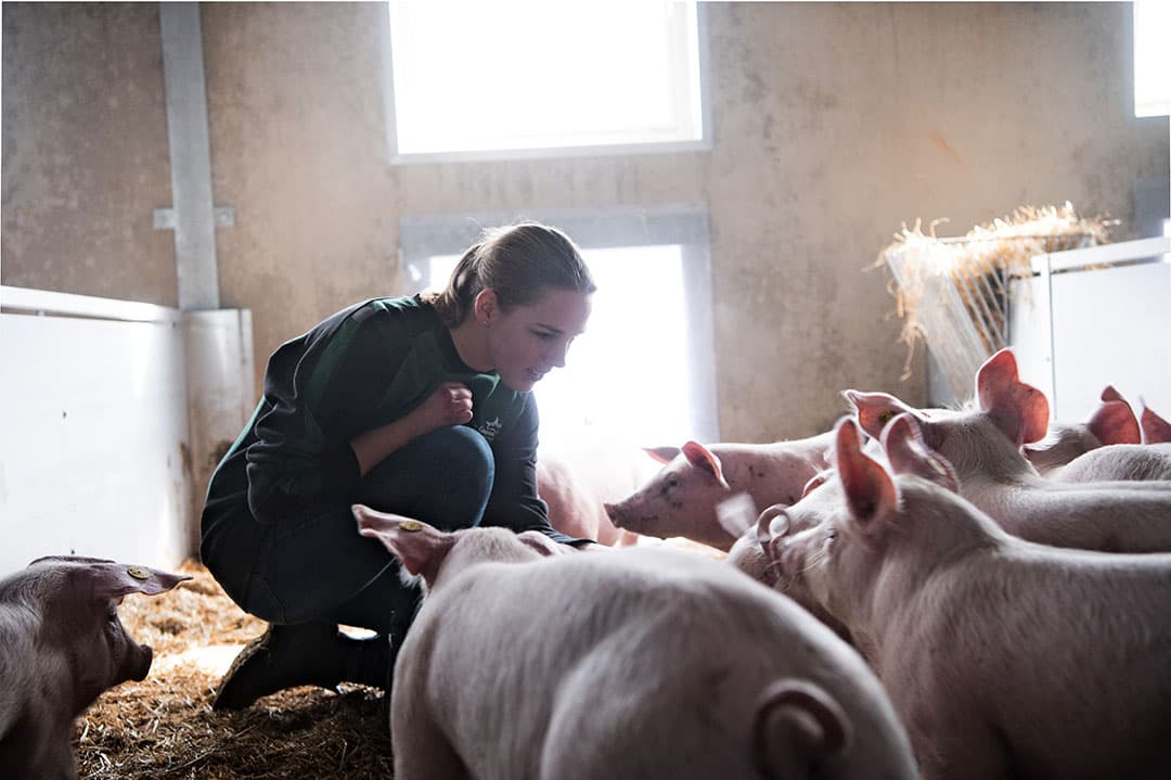 Bij het bepalen van een langetermijnstrategie voor het bedrijf is het goed om de maatschappelijke trends en ontwikkelingen mee te wegen. Dan kan gevolgen hebben voor de richting van het bedrijf. - Foto: Michel Velderman