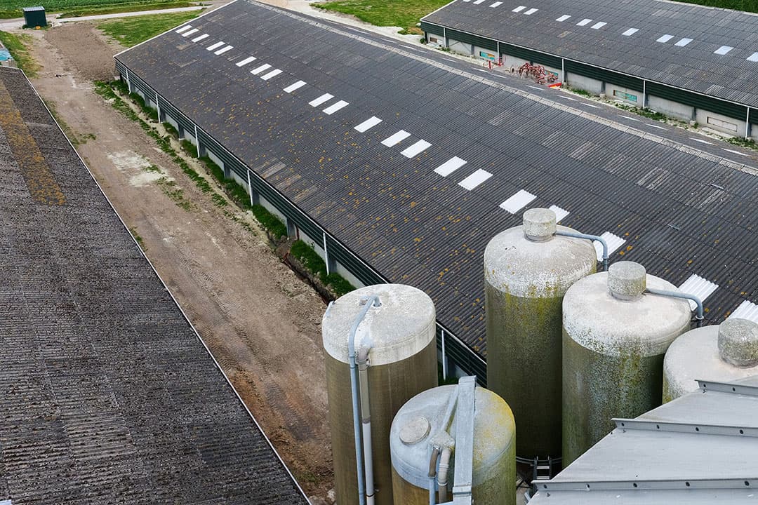 Het overgrote deel van de pluimveebedrijven heeft meer dan 280 grootvee-eenheden (GVE). - Foto: Jan Willem van Vliet
