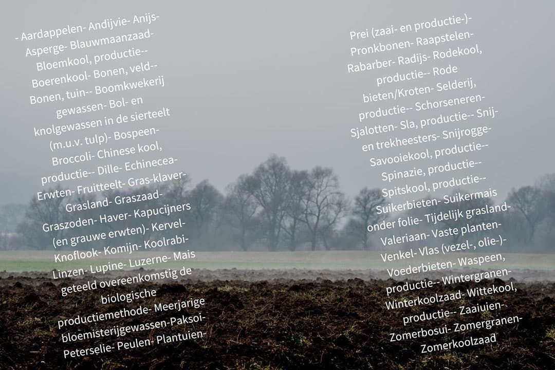 De lijst met vroege gewassen is onderdeel van de uitvoeringsregeling gebruik meststoffen. - Foto: Canva, beeldbewerking