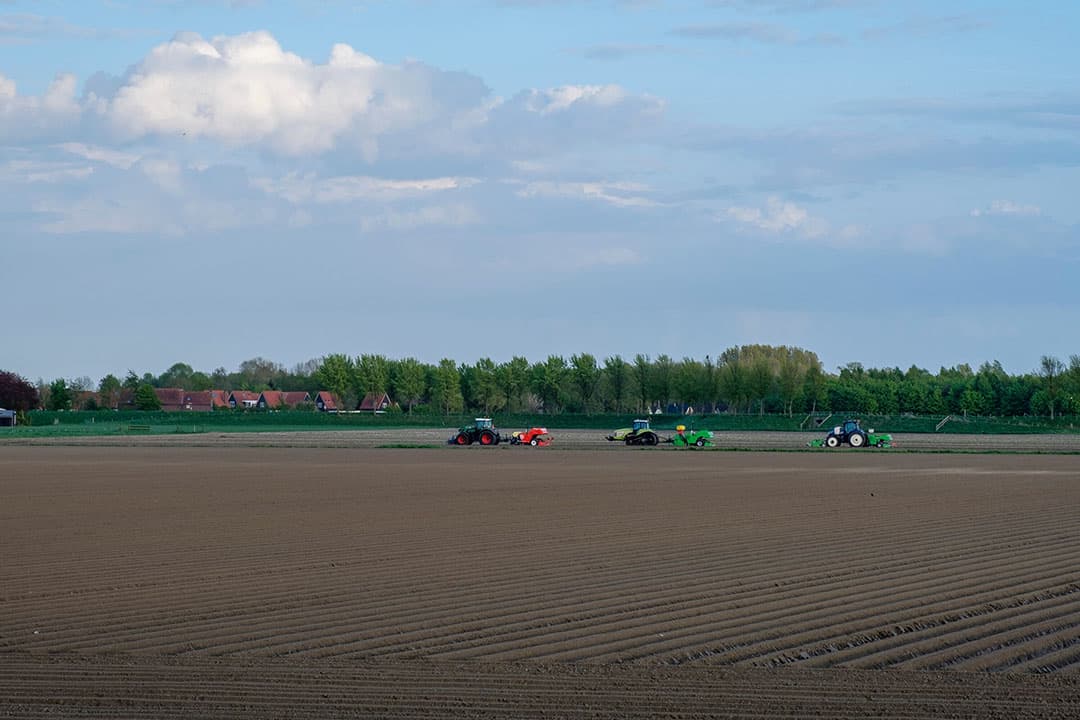 Foto: Roel Dijkstra