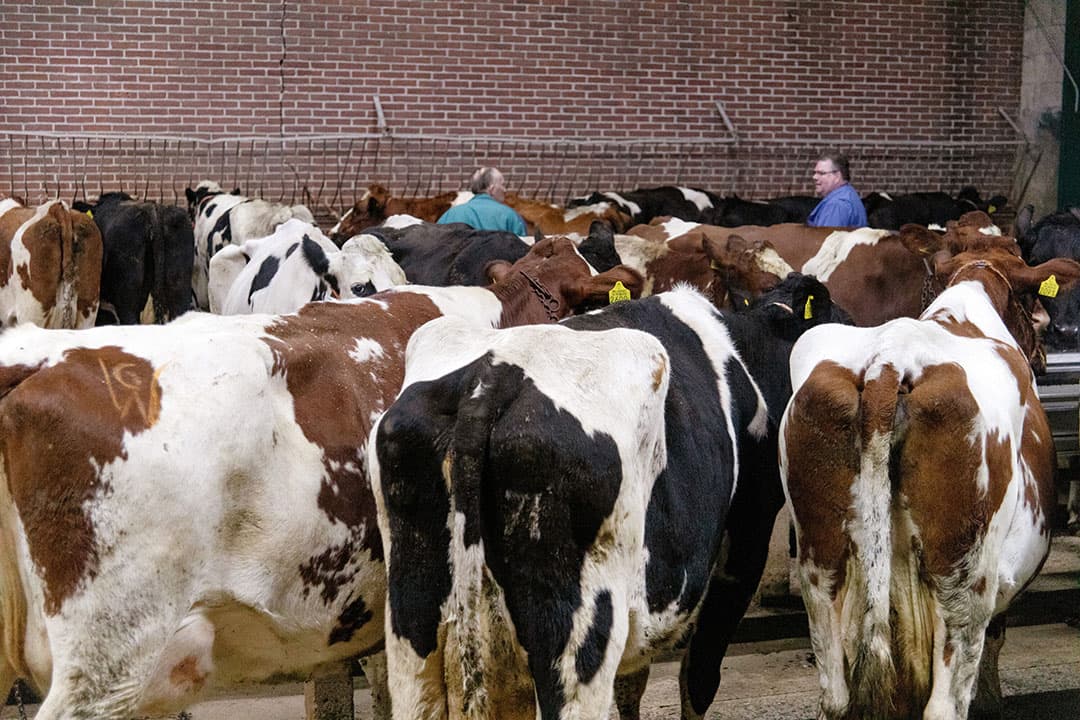 Foto: Herbert Wiggerman