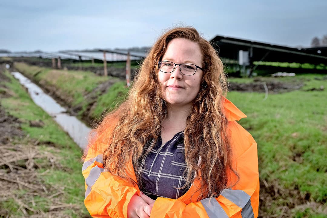 ecologische effecten van zonneparken