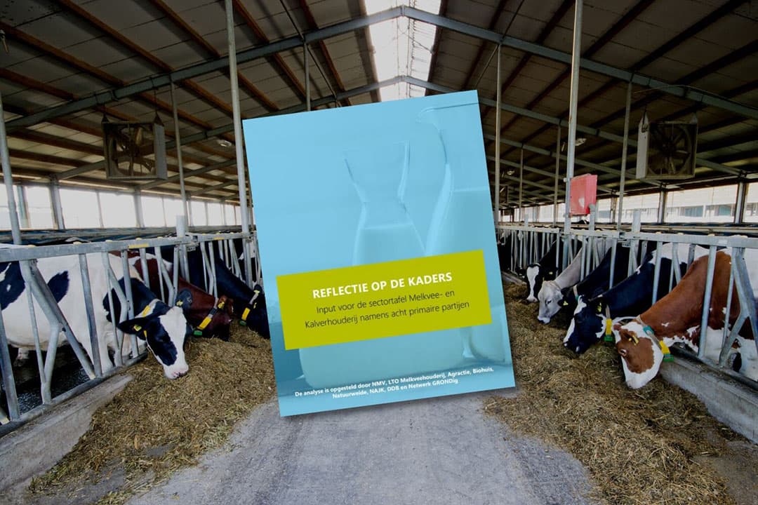 Voorpagina (inzet) van de analyse over impact van bestaand beleid voor de melkveesector. Acht boerenclubs constateren dat de sector harde klappen te verduren krijgt als de beleidsvoornemens van het kabinet doorgaan. - Foto: Canva, beeldbewerking