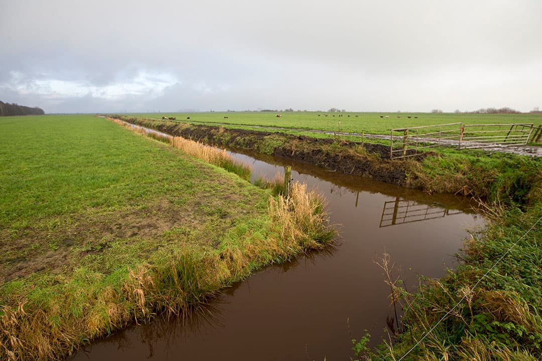 De bufferstroken moeten op 1 maart van kracht worden.