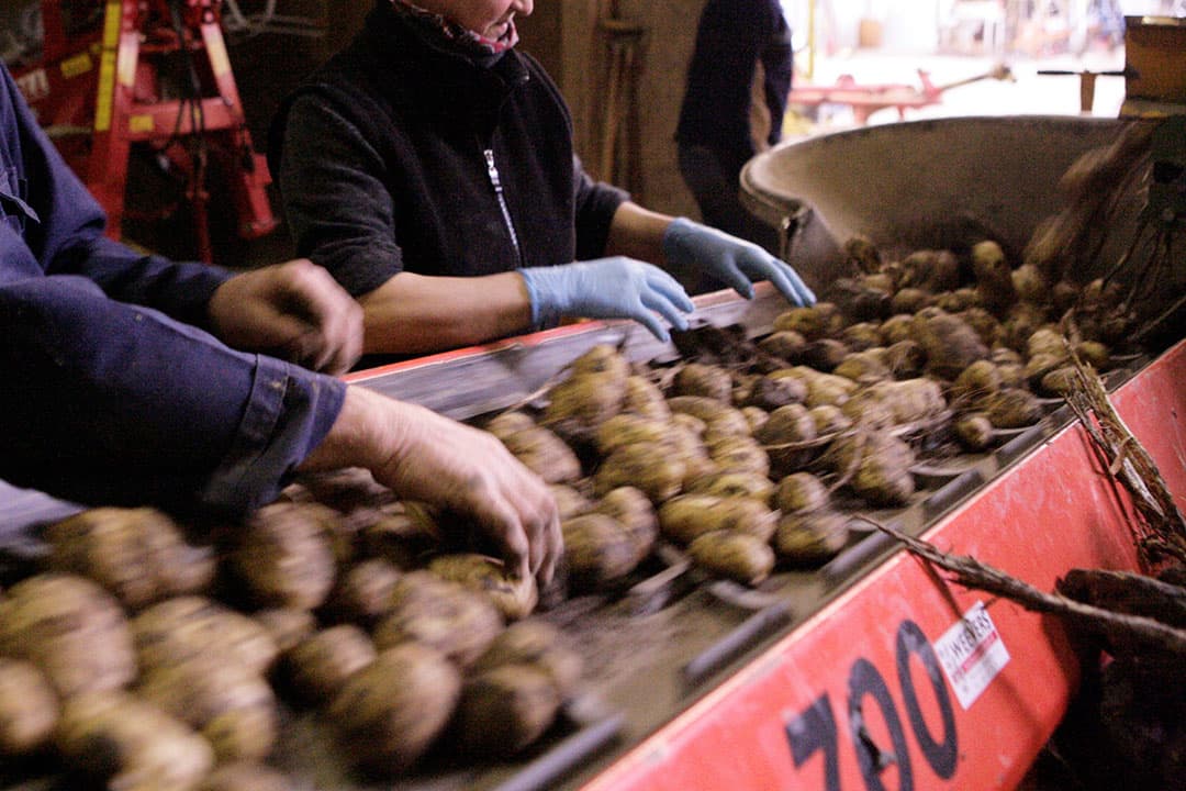 "Als je onder druk staat, is de verleiding groot om je te verliezen in je werk", aldus columnist Dik Veefkind. - Foto: Michel Zoeter
