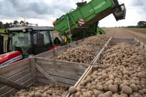 Oogst van eersteklas uitgangsmateriaal om direct in kisten. De infrastructuur is goed ingericht op het verwerken en vermarkten van hoogwaardig pootgoed. Om dat in stand te houden is voldoende areaal nodig.