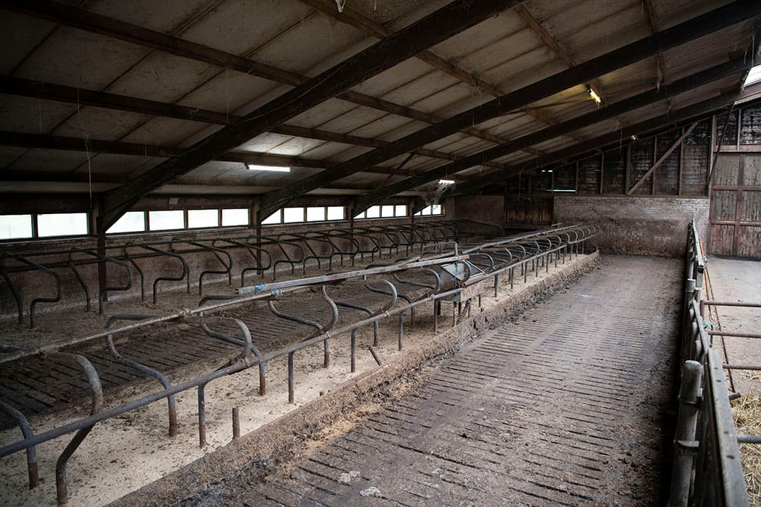 De melkkoeien zijn verkocht, de stal is leeg. Hoewel Eize volledig achter zijn beslissing staat, kan hij hier nog niet aan wennen.