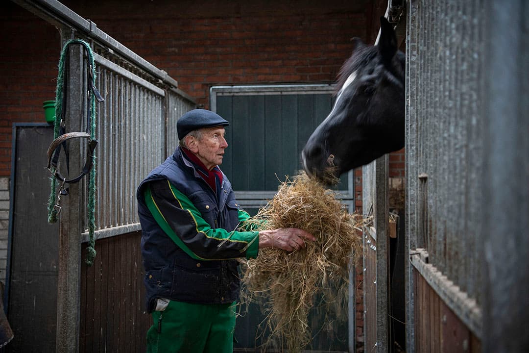 De drie paarden die er nog staan, stammen af van de dieren waar hij vroeger nog mee gewerkt heeft.