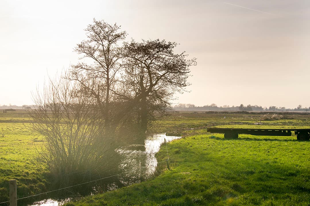 Landschapselementen moeten op landbouwgrond liggen of hieraan grenzen. - Foto: Mark Pasveer