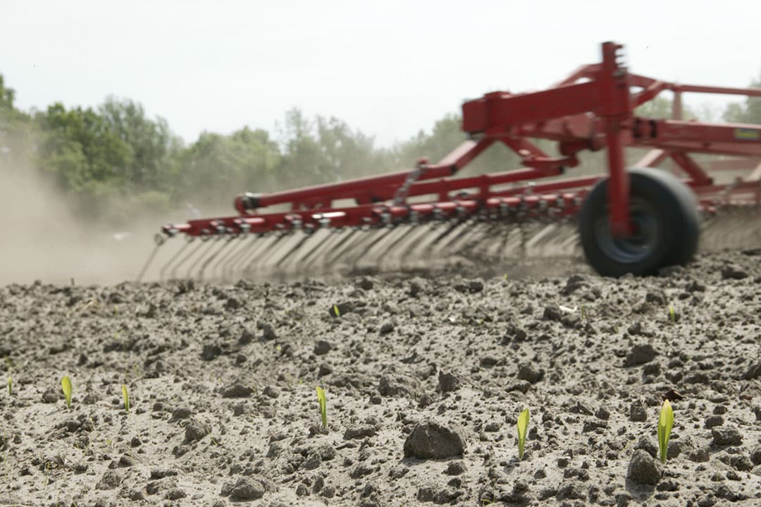 Duitsland wil het areaal biologische landbouw fors uitbreiden - Foto: Harrij Onstein