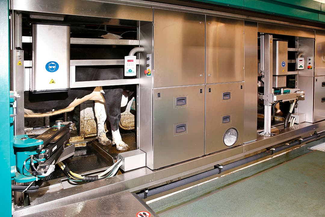 Een multibox MIone melkrobot in bedrijf. Sinds 2018 worden deze melkrobots niet meer verkocht. - Foto: Hans Prinsen