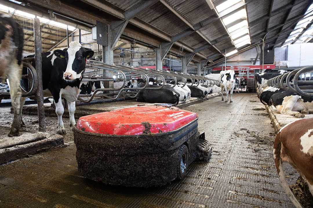 Melkveehouder Frank van Overveld uit Oudemolen (N.Br.) behoort tot de eerste gebruikers van het emissiebeperkende systeem Lely Sphere. Op de voorgrond een mestrobot voor dichte stalvloeren. - Foto: Peter Roek
