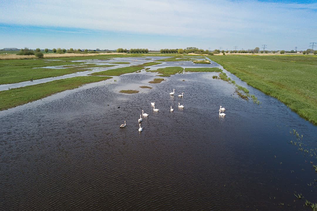 Onduidelijk is in welke plannen en programma’s de gebiedsgerichte aanpak precies vorm krijgt. - Foto: Peter Roek