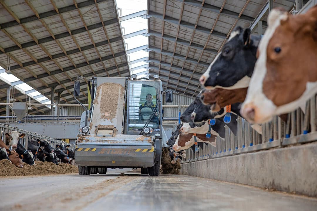 De ruwvoerpositie verschilt per bedrijf. Sommigen hebben vorig jaar extra gras, mais op stam of bijproducten gekocht. Ook is en wordt met rantsoenaanpassingen op ruwvoer bespaard. - Foto: Peter Roek
