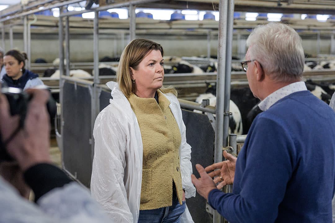 Minister Christianne van der Wal (Natuur en Stikstof) op werkbezoek bij een kalverhouder in de Gelderse Vallei, begin dit jaar. - Foto: Herbert Wiggerman
