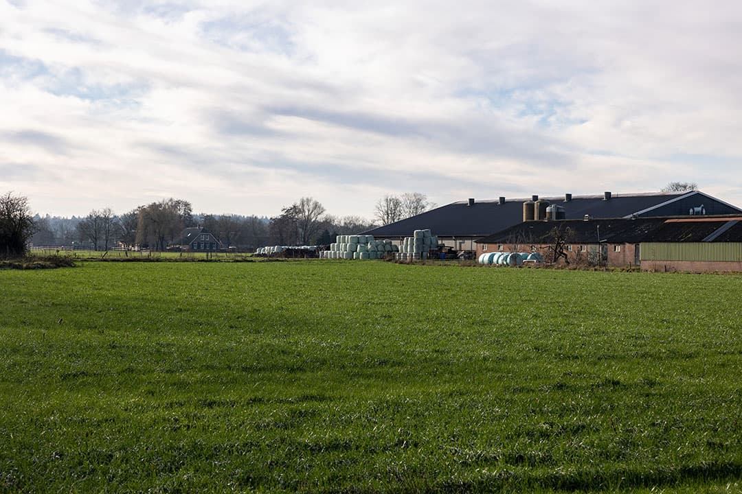 verkiezingen