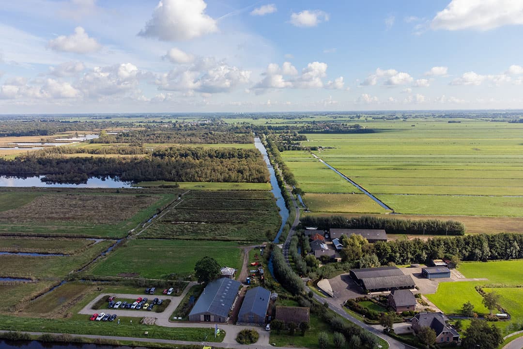 Boerenbedrijven grenzen bij de Nieuwkoopse Plassen aan het Natura 2000-gebied van de Meijegraslanden. - Foto: Herbert Wiggerman