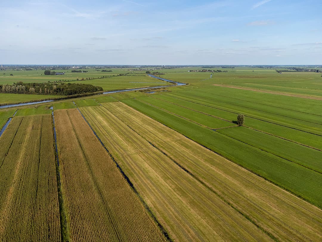Foto: Herbert Wiggerman