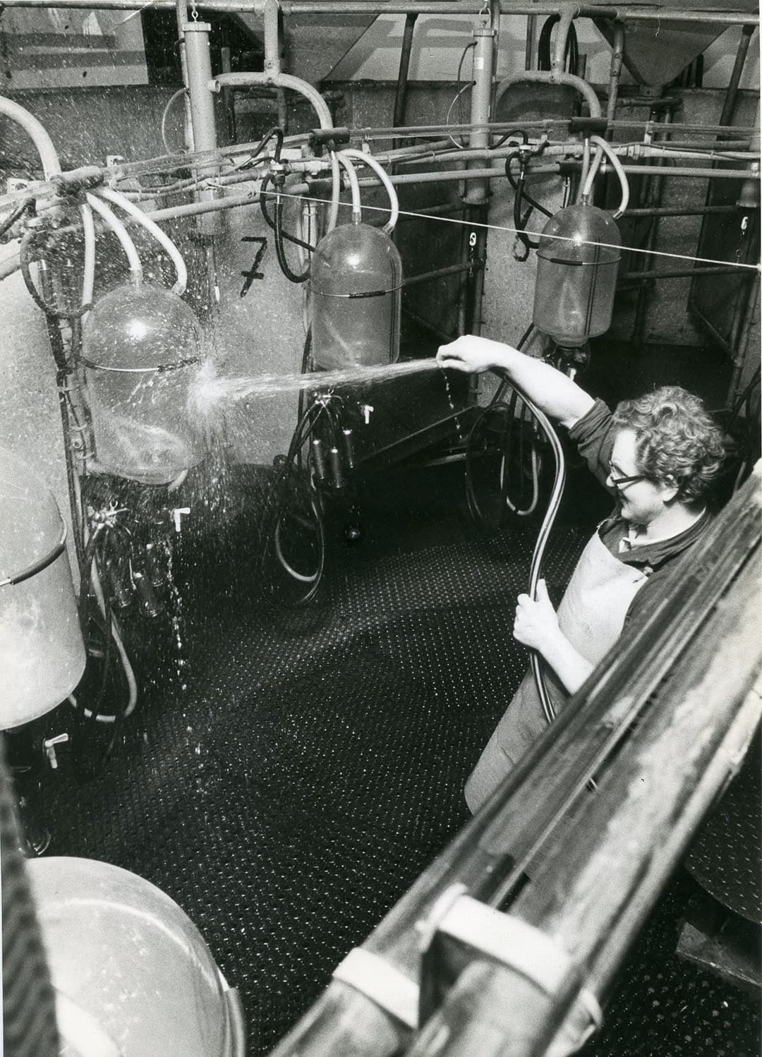 Een 2x8 visgraatmelkstal kostte in de jaren ’80 van de vorige eeuw rond de 72.000 gulden (32,600 euro). Een draaimelkstal voor hetzelfde aantal dieren kostte bijna het dubbele al ging het melken er wel sneller mee. Wat het systeem ook was, ze hadden allemaal melkglazen en die moesten na afloop goed schoongemaakt worden.