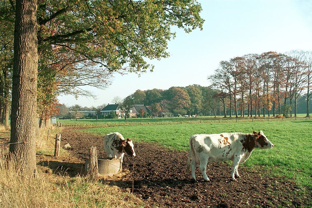 Inkomensondersteuning voor boeren via het GLB verandert. Hectaretoeslagen worden lager, ecoregelingen hoger. Wat betekent dat voor boeren?