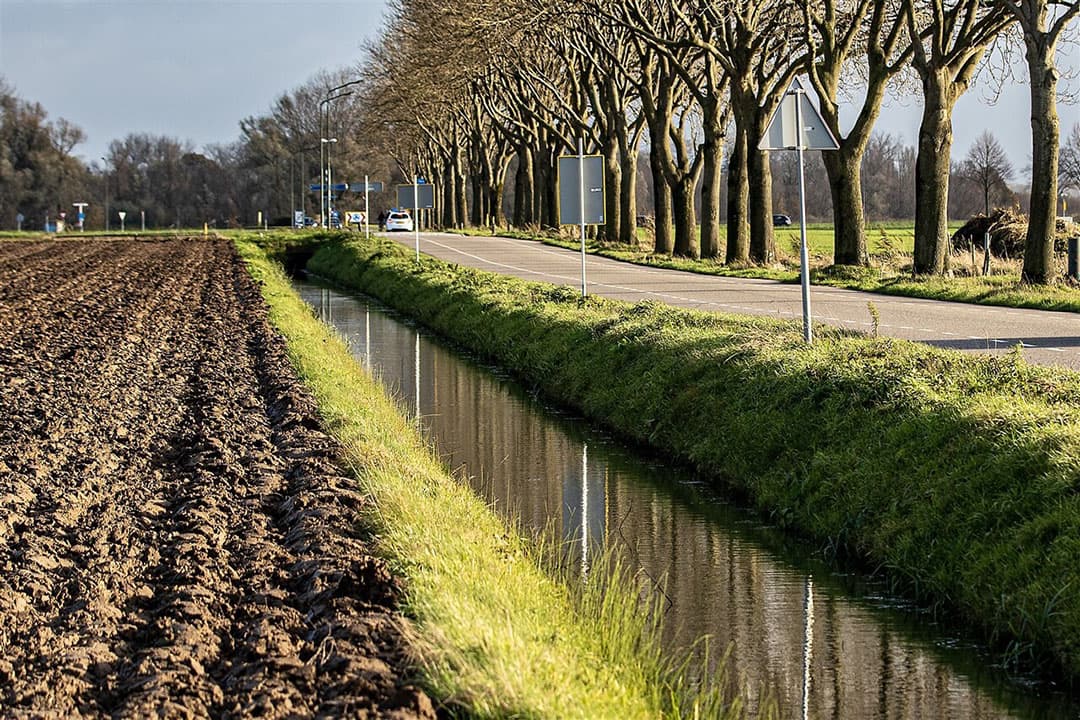 De grondwaterstand is door de regenval van de afgelopen periode gestegen, maar lang niet overal. Neerslagtekorten blijven in veel gebieden toenemen. - Foto: ANP