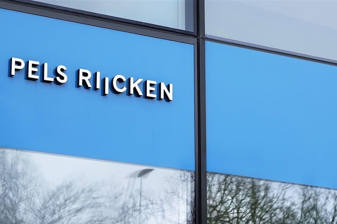 Als landsadvocaat treedt Pels Rijcken voor de Rijksoverheid op als juridisch adviseur en advocaat in zo'n 1.000 rechtszaken per jaar. - Foto: ANP