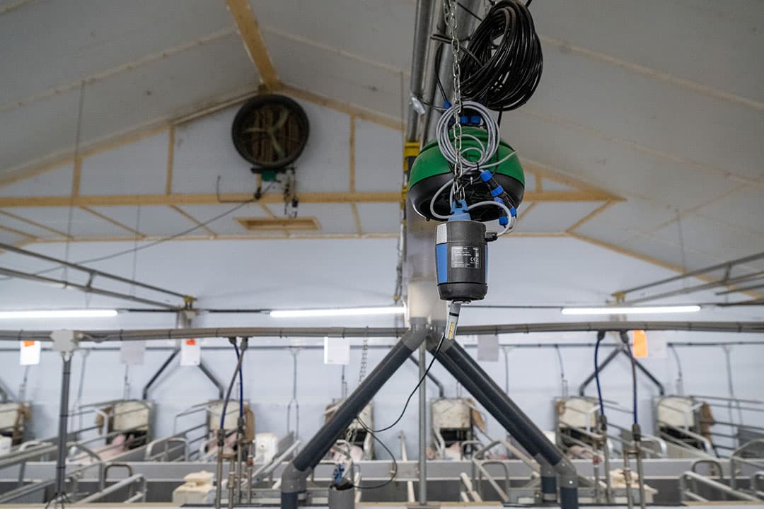 Sensoren en camera monitoren emissies en diergedrag. Uit data blijkt dat rond de jaarwisseling de hoeveelheid fijn stof in varkensstallen kortstondig fors toeneemt. - Foto: Frank Uijlenbroek