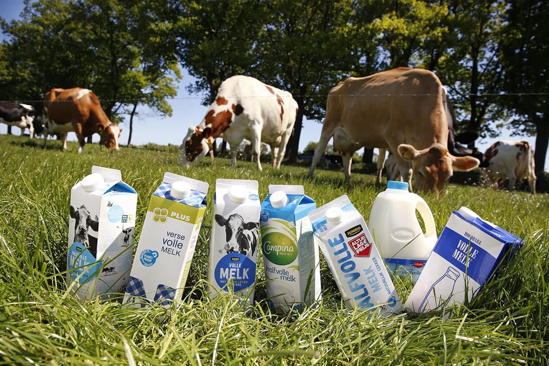 soorten melk