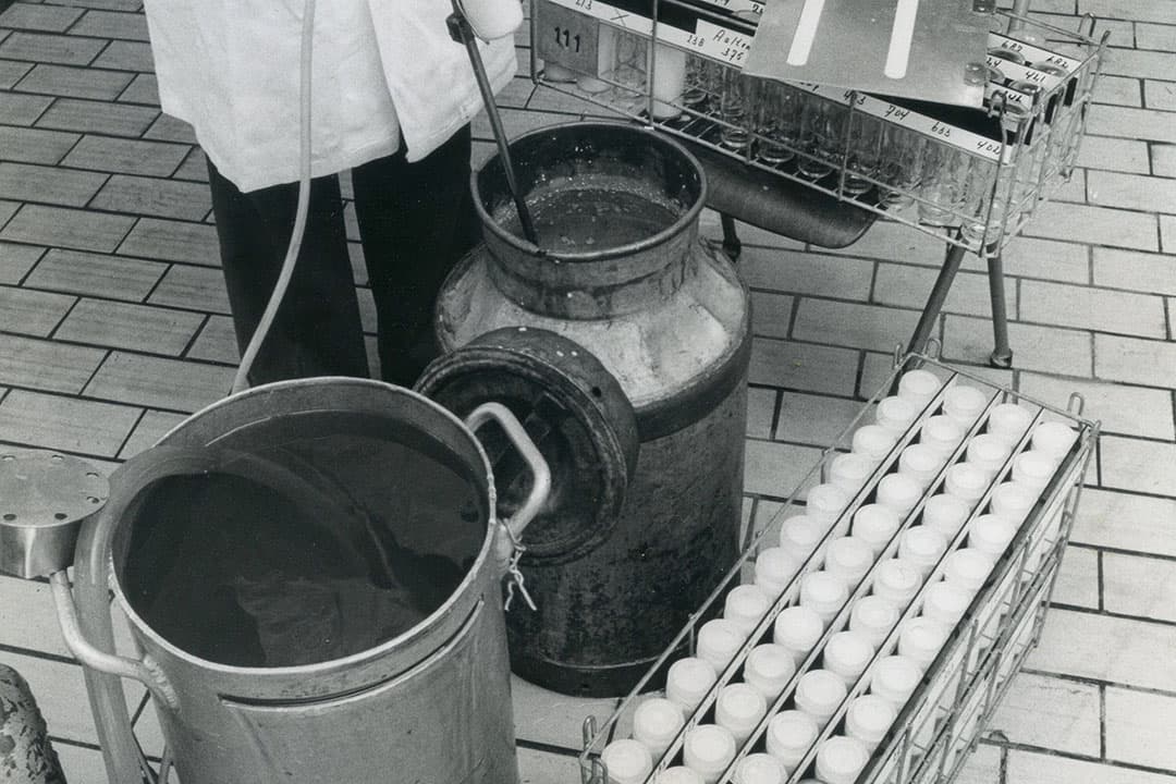 Op de melkfabriek werden monsters genomen van de aangevoerde melk. De gevulde glazen flesjes gingen in rekken naar het laboratorium waar de gehaltes aan vet en eiwit bepaald werden voor de uitbetaling. Ook de mate van vervuiling kwam hier aan het licht. Met deze informatie konden boeren hun management aanpassen. - Foto: Misset