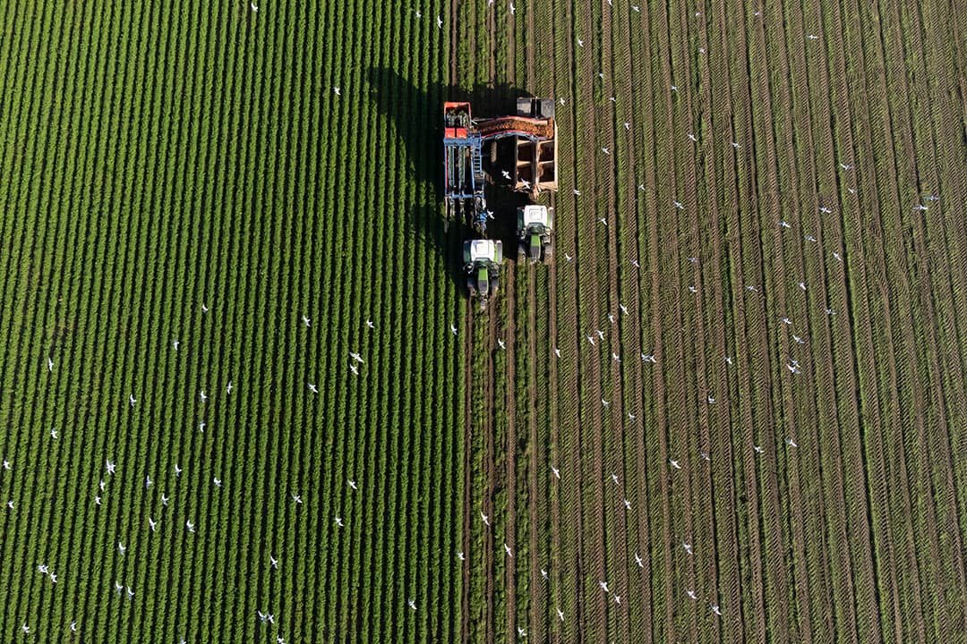 Foto: Ton Kastermans Fotografie