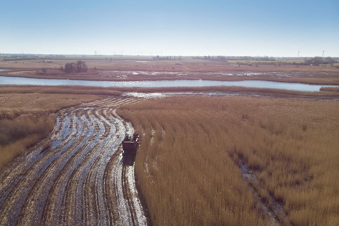 Rekenmodule Aerius wordt gebruikt om te bepalen hoe groot de stikstofdepositie van een te vergunnen bedrijf is. - Foto: Mark Pasveer