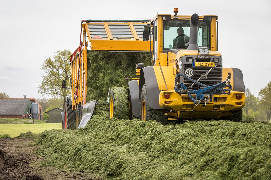 Zeker bij wat vochtiger materiaal kan een inkuilmiddel bijdragen om de conservering snel op gang te brengen en vervolgens de kuil stabiel te houden. - Foto: Koos Groenewold