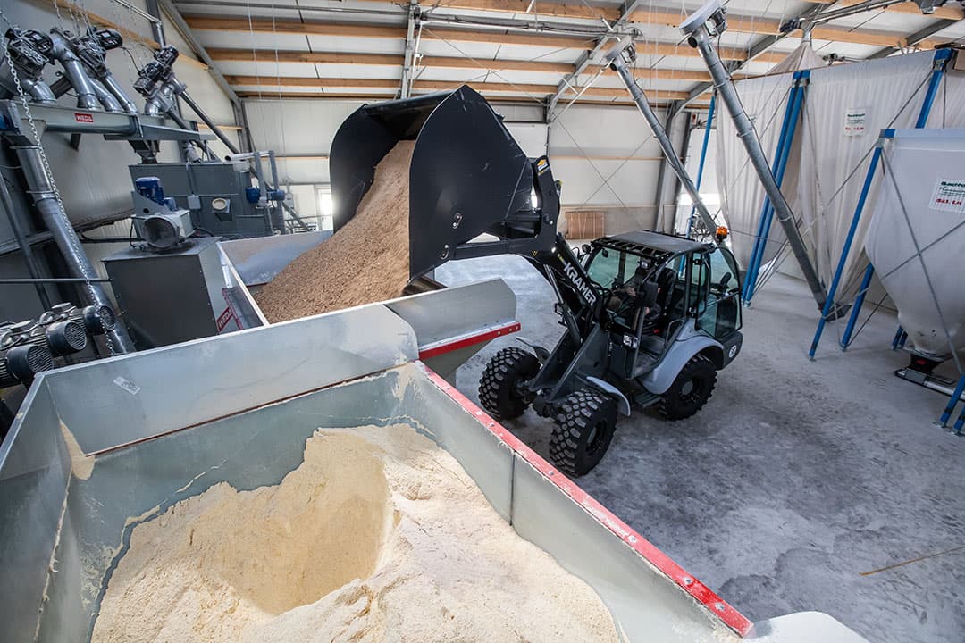 Bij het voeren van zelf of door een collega akkerbouwer geteelde voeders kan het raadzaam zijn de mycotoxinen-waarden te laten analyseren. Een representatieve steekproef nemen is overigens niet eenvoudig. - Foto: Ronald Hissink