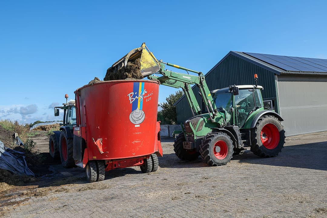 De methaanemissie kan nog flink verminderen bijvoorbeeld door aanpassen van rantsoenen of toevoegen van additieven, zoals deze veehouder doet in een proef met gebruik van Bovaer van DSM. - Foto: Bert Jansen