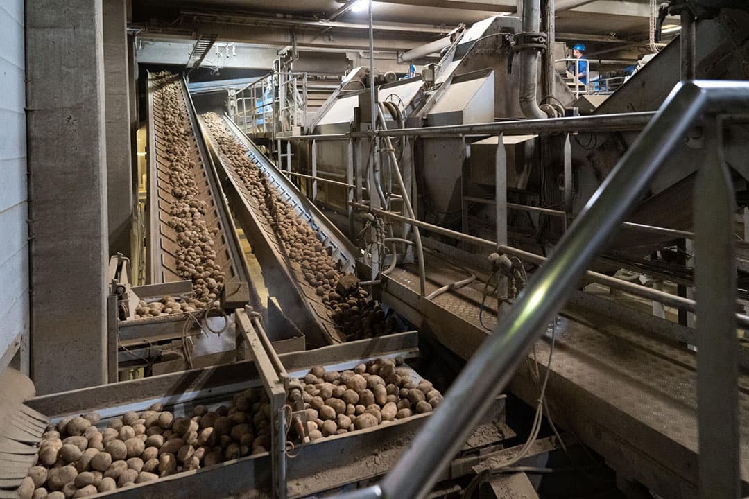 aardappelverwerkers