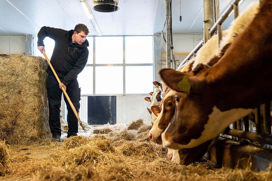 Bedrijfsopvolger Sander Steunebrink. - Foto: Jan Willem Schouten