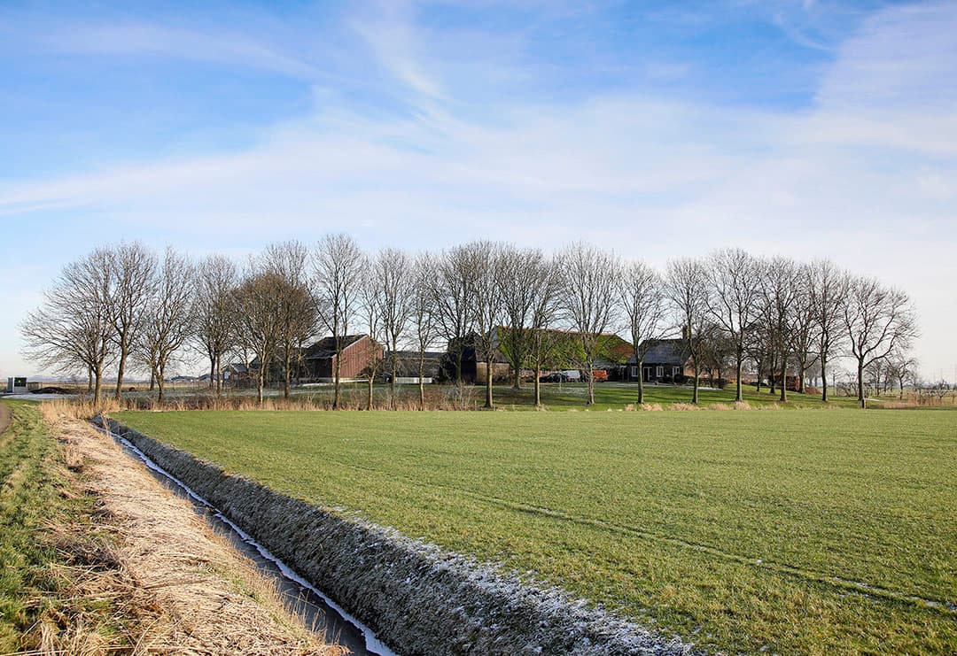 In het nieuwe stelsel voor box 3 wordt onder meer ook de waardeontwikkeling van vastgoed zoals verpachte landbouwgrond in het rendement meegenomen. - Foto: Ruud Ploeg