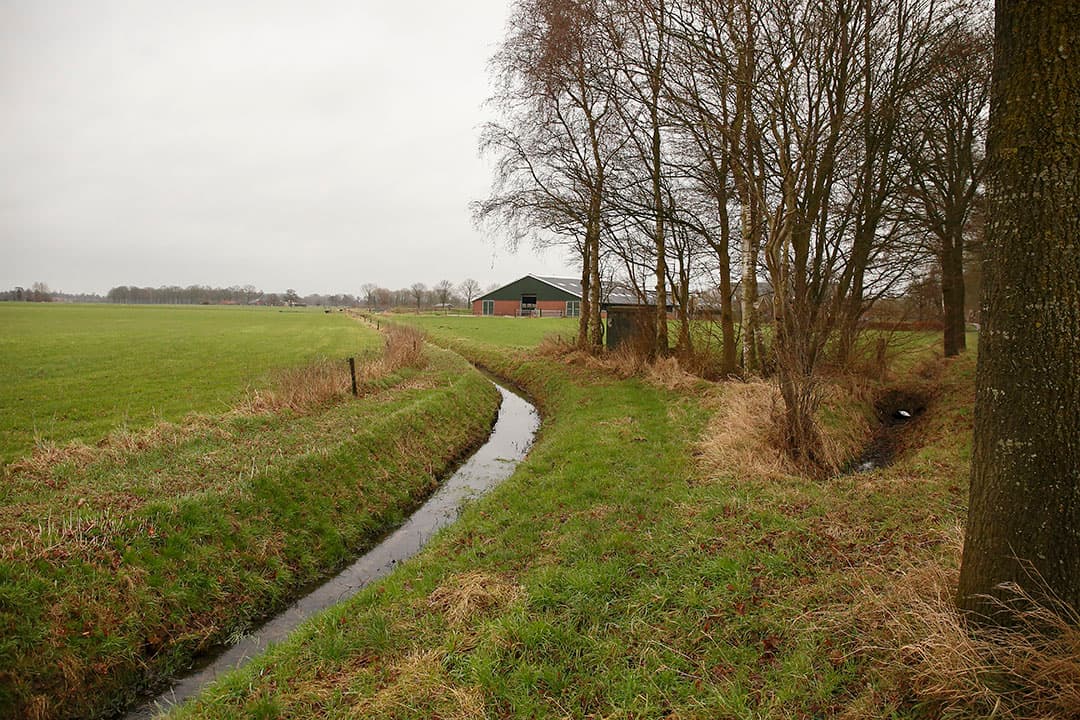 Onder het nieuwe GLB tellen landschapselementen, zoals sloten of houtwal, ook mee als subsidiabele grond. RVO waarschuwt voor dubbelclaims. - Foto: Hans Prinsen