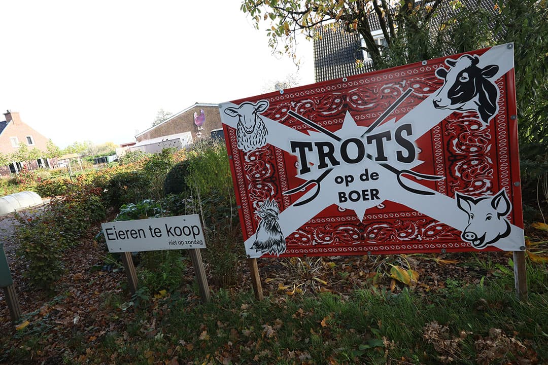 Foto: Henk Riswick