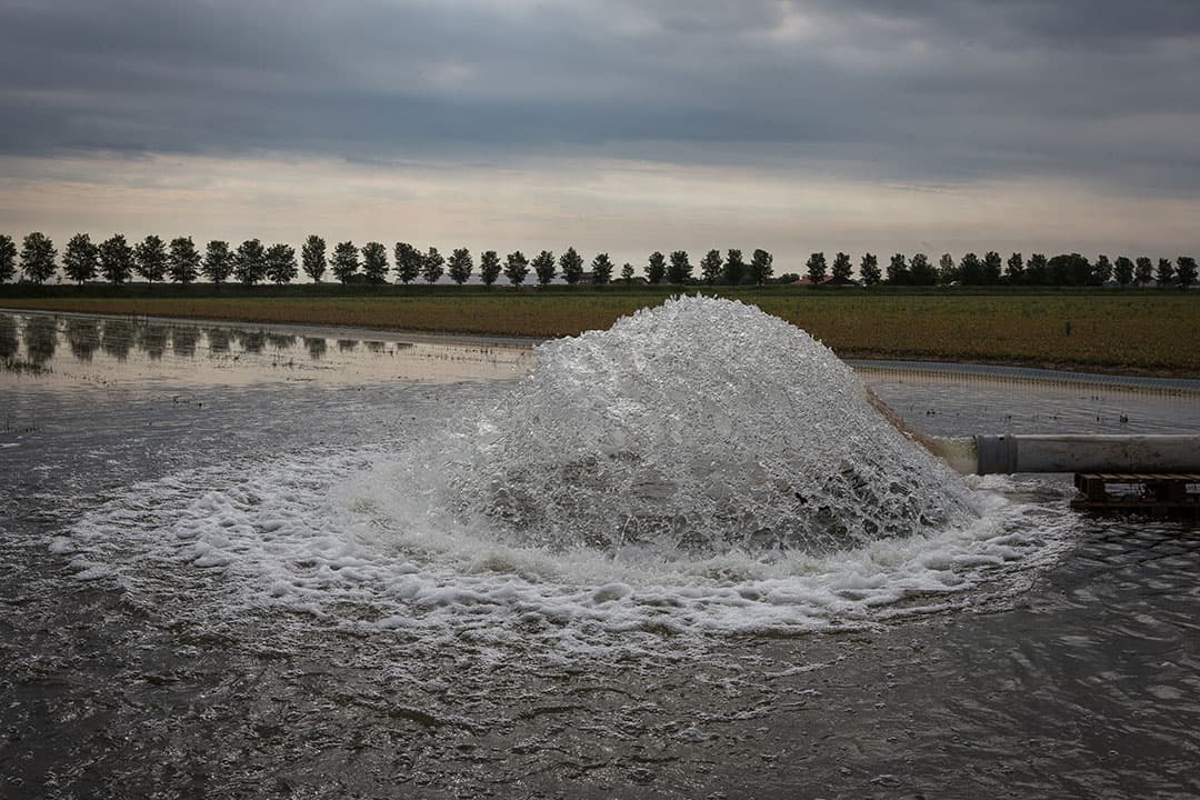 Een akker wordt onder water gezet. Inundatie is nu ook erkend als middel tegen aaltjes in pootaardappelen. - Foto: Peter Roek