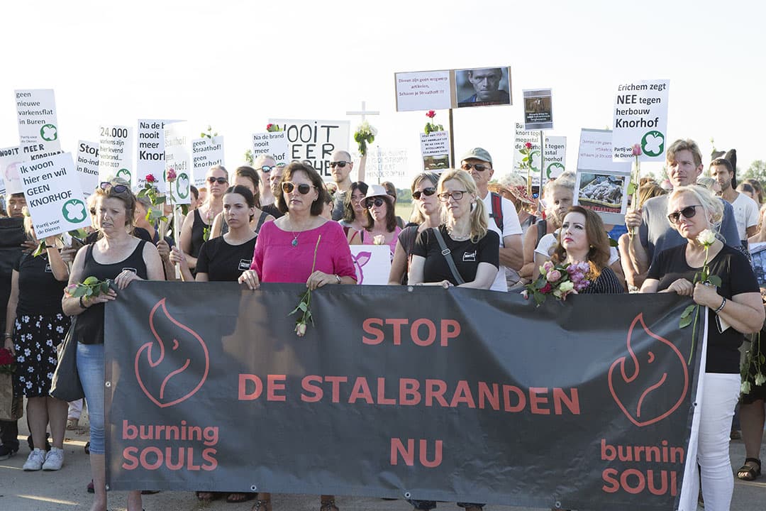 Protestmars tegen de herbouw van varkensbedrijf de Knorhof van Adriaan Straathof - Foto: Ton Kastermans