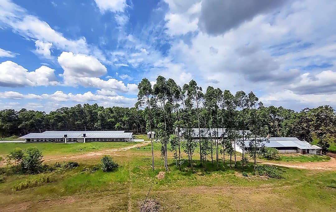 De nieuwe pachtstal van HoCoTec voor 700 zeugen, 150 kilometer van de hoofdlocatie. - Foto: HoCoTec
