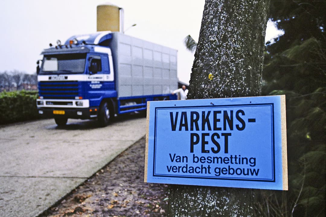 Op 10 februari 1997 wordt in Brabant een varkensbedrijf waar en besmetting met klassieke varkenspest is vastgesteld, geruimd.  De uitbraak van varkenspest zwengelde de discussie over inkrimping van de varkensstapel aan. - Foto: ANP