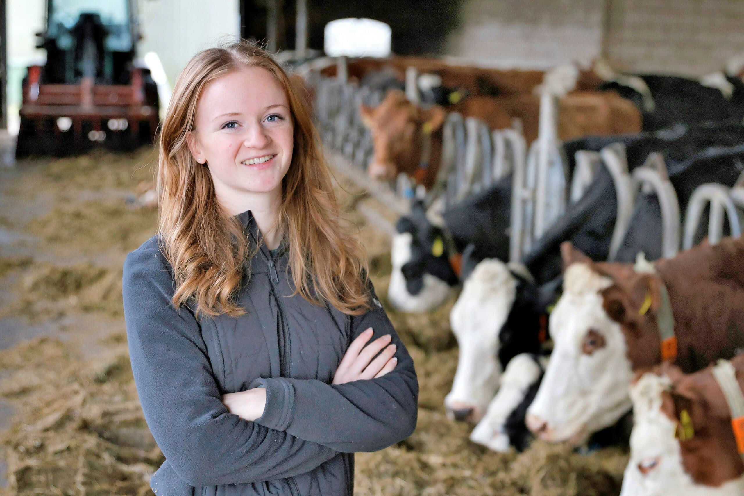 Campagne Wakker Dier over kreupele koeien